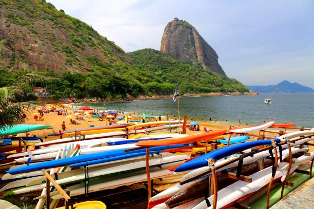 tropikalna roślinność w rio de janeiro w brazylii - rio de janeiro sugarloaf mountain landscape passenger craft zdjęcia i obrazy z banku zdjęć