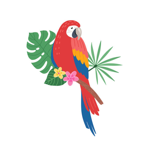 Cute parrot bird sitting on a tropical branch with exotic leaves. Bright colorful vector illustration in cartoon style parrot stock illustrations