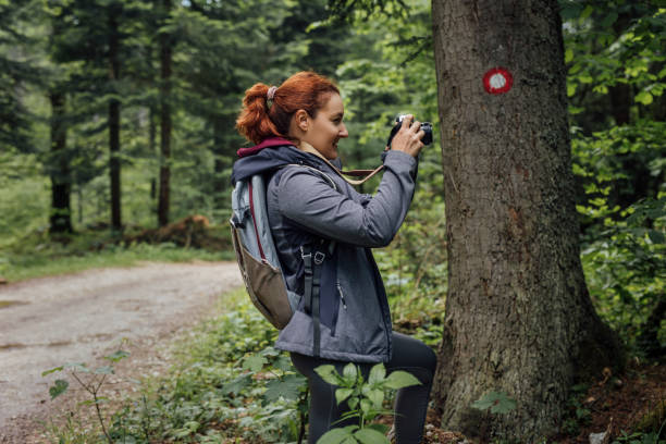 istock Happy Hiker Taking Photos of the Forest 1309618706