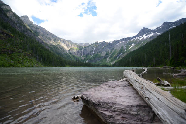 istock Glacier National Park lake logs 1309618784