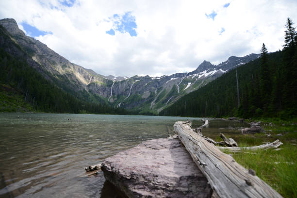 istock Glacier National Park lake logs 1309618786