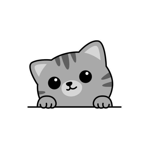 Grey And White Cat Illustrations, Royalty-Free Vector Graphics & Clip Art - iStock Grey And White Cat Illustrations, Royalty-Free Vector Graphics & Clip Art - iStock