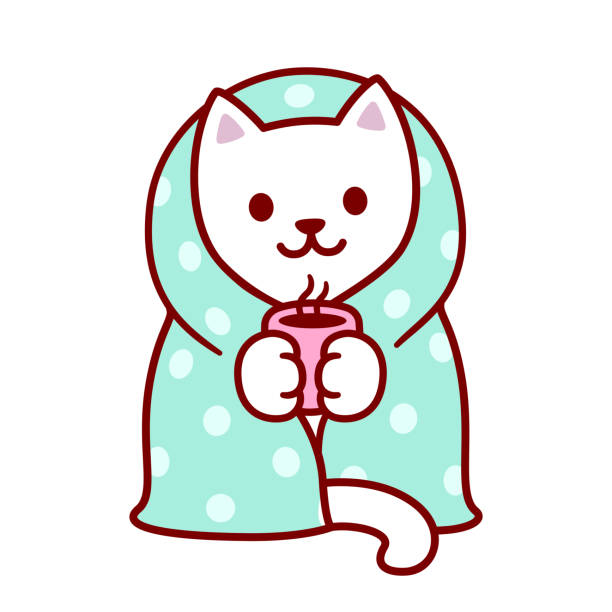 Cute Cartoon Cat In Blanket Stock Illustration - Download Image Now - Get  Well Card, Art, Cozy - iStock