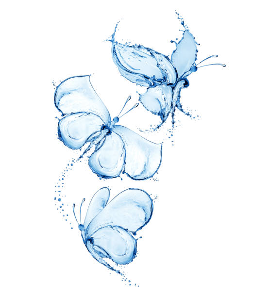 istock Three butterflies made of water splashes isolated on white background 1309622266