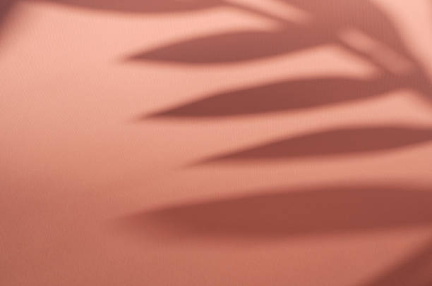 istock Leaf shadow on pink background. copy space. beauty and spa concept.minimal summer concept. 1309622990