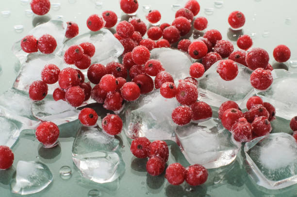 istock frozen ripe red currant on ice cubes on green background 1309623097