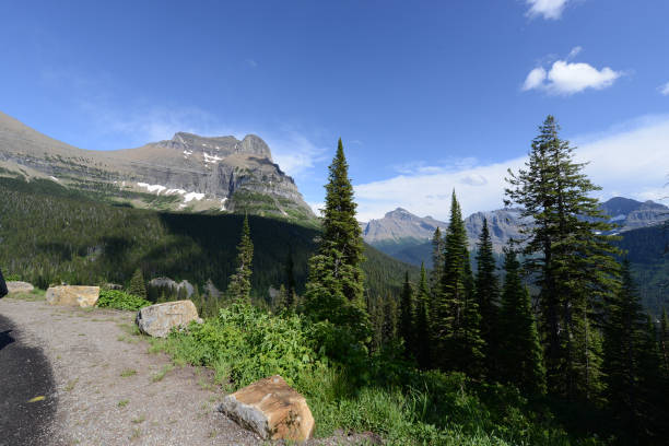 istock Glacier National Park going to the sun road 1309623229