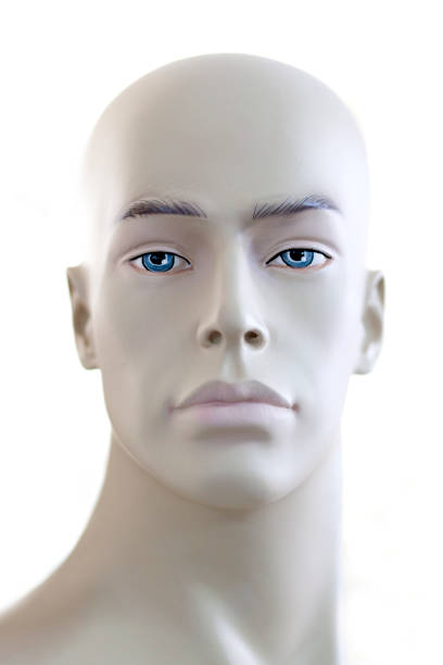 istock Head of a mannequin 1309623235
