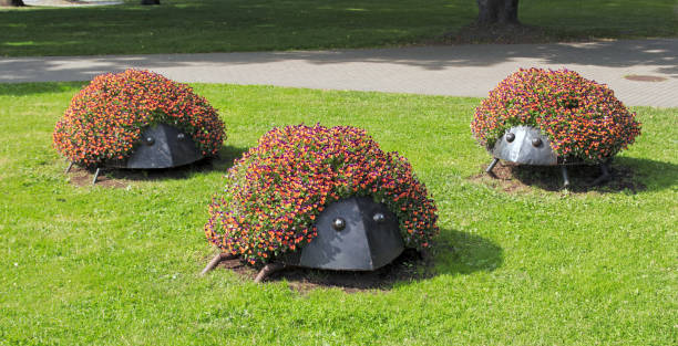 istock Hedgehog  shaped flower bed. Ideas for flower beds 1309624201