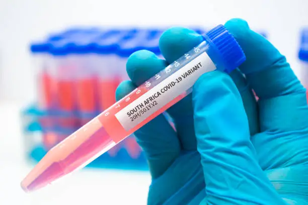 A medical Worker holding a centrifuge tubes with graduated marks with a Covid-19 South Africa variant virus sample.