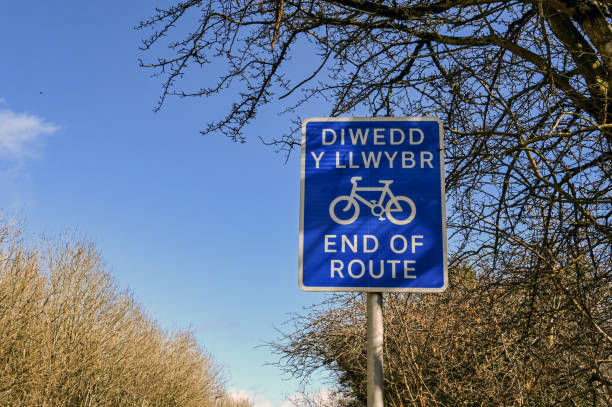 istock Bilingual sign at the end of a cycle path 1309626771