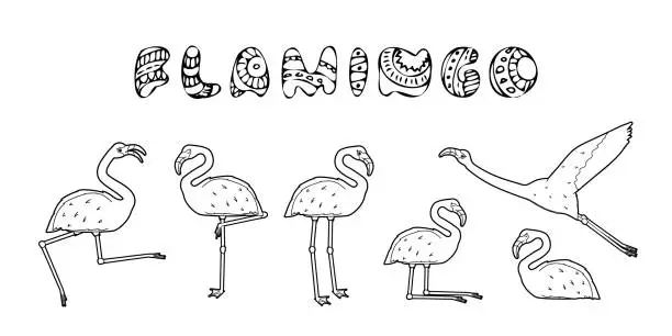 Vector illustration of Black white illustration with cartoon text of Set of Vector outline flamingos isolated for coloring book. Doodle animal is active, dancing, flies, sleeps, rests, dreams, walks