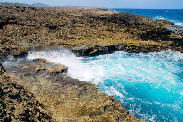 istock Curacao's natural beauty. 1309626980