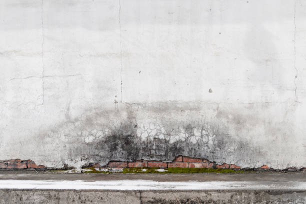 istock Interior with concrete floor and old red brick wall 1309627762