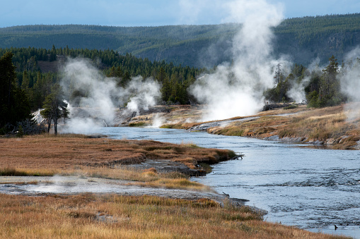 Scenery at Upper Geyser Basin, Yellowstone National Park, Wyoming, USA