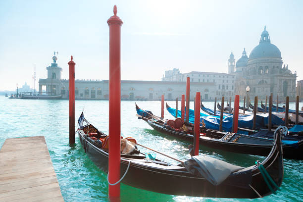 istock Santa Maria della Salute, Venice 1309634396