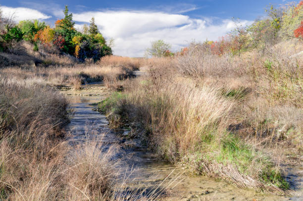 Picture of one of the many parks in Anchorage, Alaska. This park offers open lands, flowing streams, peaceful walks, and breathtaking views.