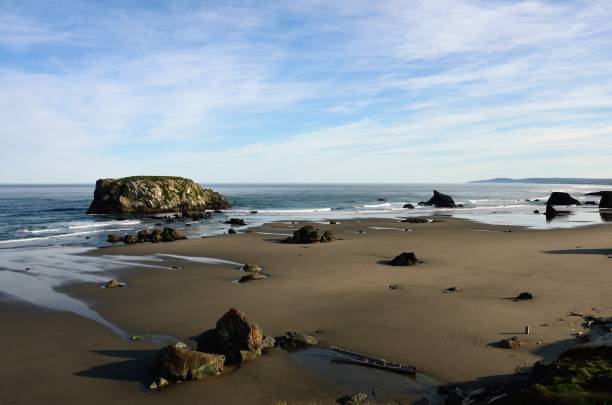 istock Morning Veiw Looking Down At The Surf Line On Coquille Point Beach At low Tide, 1309638514