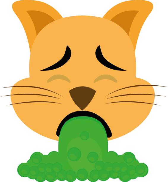 Vector emoticon illustration cartoon of cat´s head with a disgusted expression, throwing up Vector emoticon illustration cartoon of cat´s head with a disgusted expression, throwing up puke green color stock illustrations