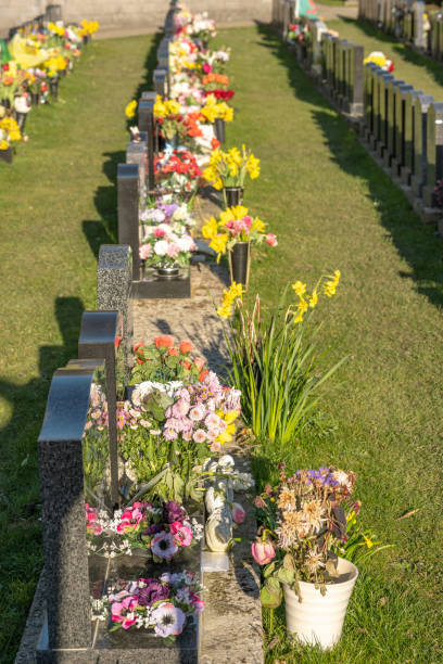 istock Gravestones with flowers at the cemetery 1309645615