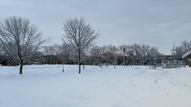 istock Snowy Montreal Park (photo3) 1309647469