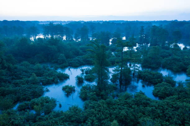 istock Morning Aerial Reflections on Beaty Lake 1309650423