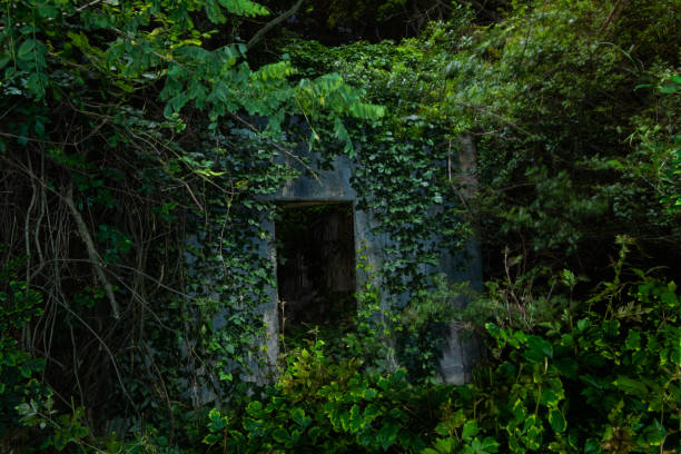 istock Kuzdu Consumes Building in Rural South 1309650425