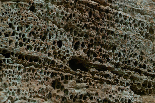 istock Pock Filled Cliffside in Strange Erosion Phenomenon 1309650429