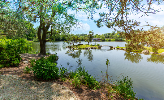 Japanese garden in Buffalo near History Museum and art gallery.