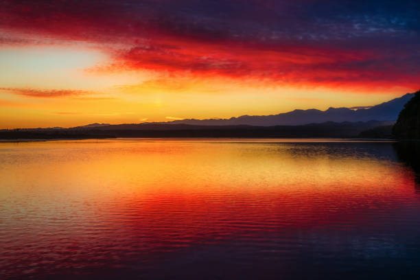 lagoa okarito ao nascer do sol - okarito lagoon - fotografias e filmes do acervo