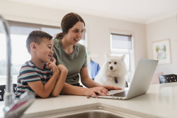istock Laptop a source of entertainment. 1309652298