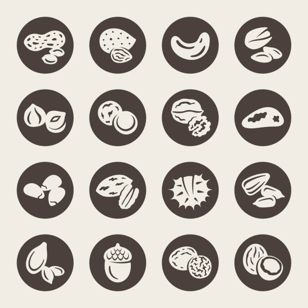 Nuts vector icons Nuts vector icon set pecan icon stock illustrations