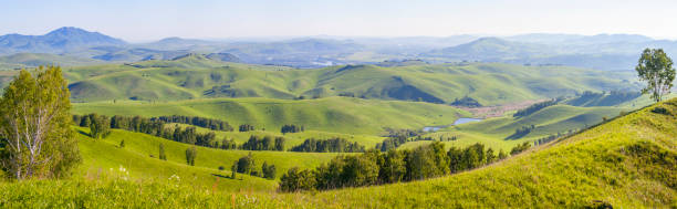istock Green hills, meadows and trees. Sunny summer day, countryside. Panoramic view. 1309658931