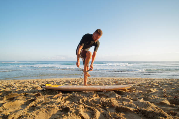 istock Surfer man fastens leash at leg, going to surf in ocean. 1309663720