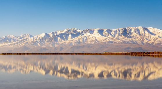 A long row of snow covered mountains is being reflected in a small pond just in front of the mountains.