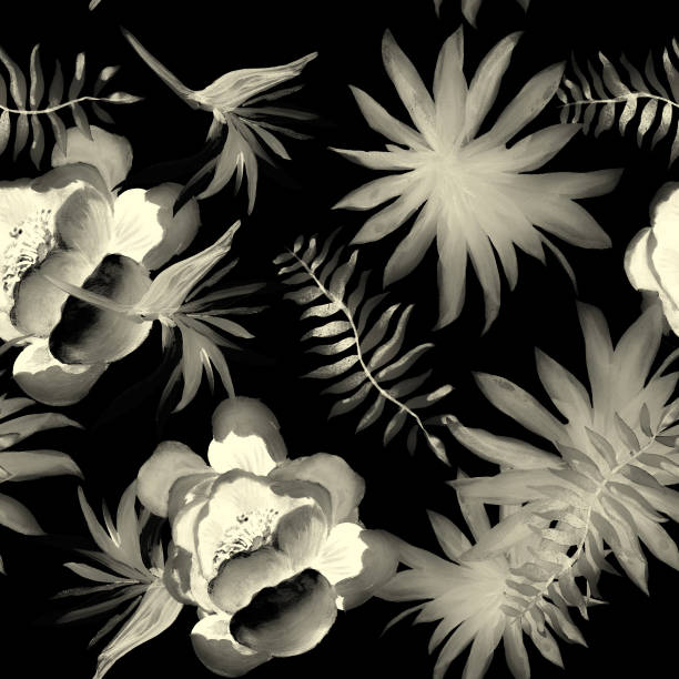 istock White Tropical Design. Black Seamless Art. Gray Pattern Art. Flower Plant. Spring Palm. Garden Leaf. Wallpaper Illustration. Decoration Plant. 1309667945
