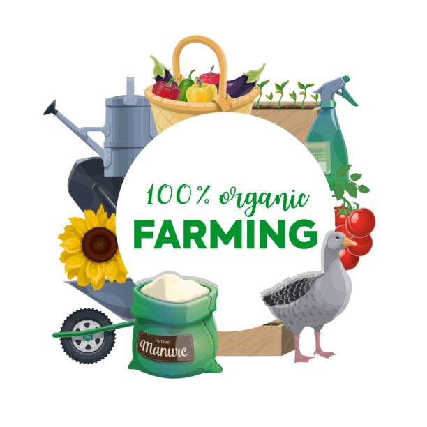 Organic farming products round vector banner Organic farming products and tools round banner. Fresh harvest in wicker basket, vegetables seeding and ripe tomatoes, watering can, sprayer with fertilizer, gardening tool and farm poultry vector sack barrow stock illustrations