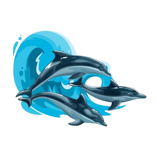 Dolphins jump in sea waves, vector ocean animals Dolphins jump in sea waves, vector ocean animals mascot. Cartoon dolphins family playing and splashing on sea water surface, Aqua travel, summer vacation isolated emblem or icon on white background dolphin stock illustrations