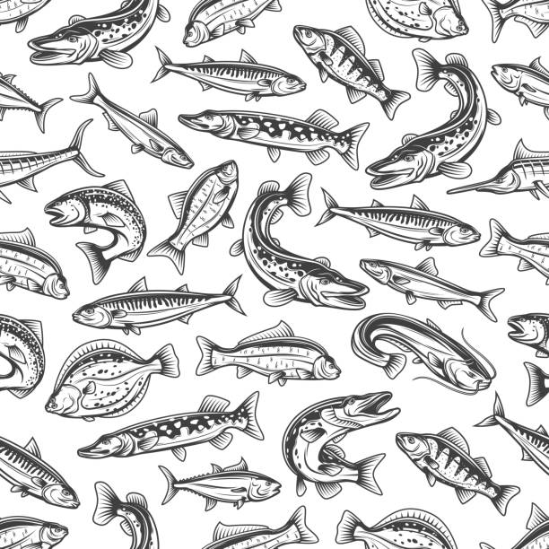 Sea and fiver fishes vector seamless pattern Sea and river fishes seamless pattern. Pike, carp and perch, mackerel, salmon and sardine, tuna, sheatfish and marlin, flounder vector. Seafood, fishing print or background with freshwater, sea fishes catfish stock illustrations