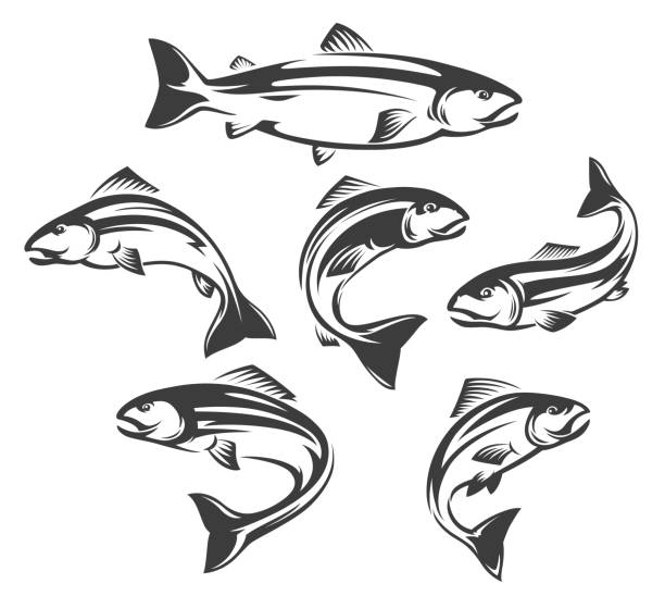 Salmon or trout fish isolated icons, fishing sport Salmon or trout fish isolated icons of vector fishing sport and seafood design. Ocean or sea water animal symbols and emblems, jumping or swimming fish of atlantic, coho, chinook and pink salmons trout illustrations stock illustrations