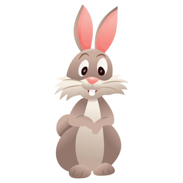 Cartoon Cute Bunny Rabbit Front Facing Arms On Tummy Stock Illustration -  Download Image Now - iStock