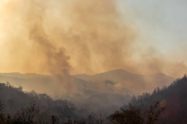 istock Forest fire smoke in northern Thailand. 1309672740