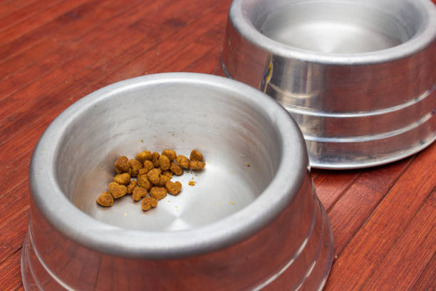 due barattoli di cibo per animali domestici in metallo su pavimento in legno - treated water foto e immagini stock
