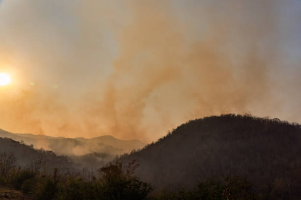 istock Forest fire smoke in northern Thailand. 1309673510