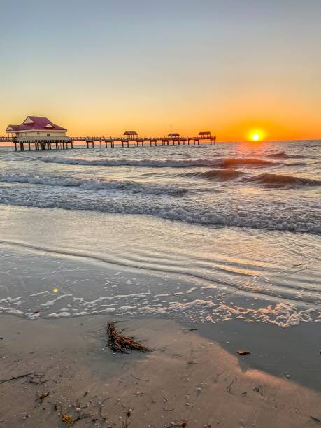 tramonto al molo di clearwater beach in florida - clearwater foto e immagini stock