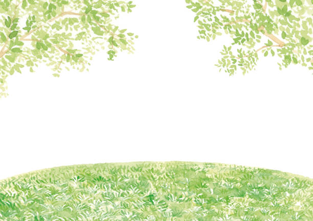 istock Green hills and Green leaves  watercolor background 1309673944