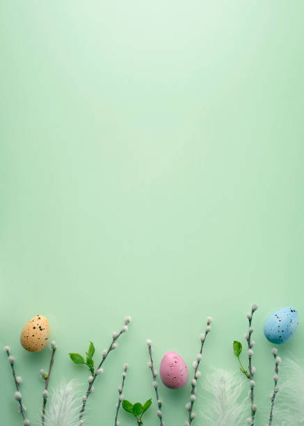 istock Easter background with pussy-willow twigs 1309674684