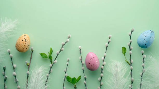 istock Easter background with pussy-willow twigs 1309674740