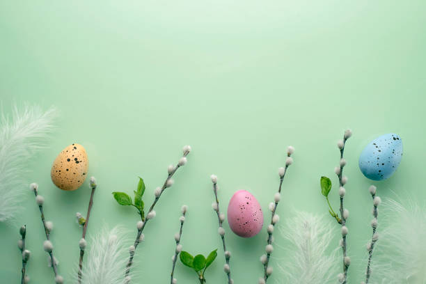 istock Easter background with pussy-willow twigs 1309674767