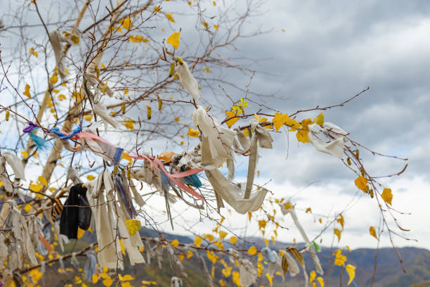 Ritual ribbons on branches sacred tree in Altai mountains against blue sky clouds. View along Chuysky tract, Altai Republic, Russia.